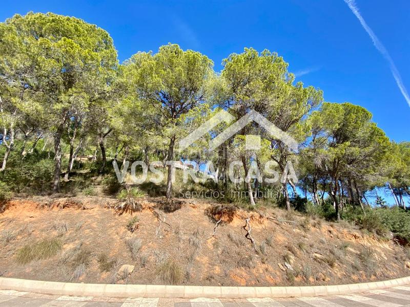 Foto e46e74af-2d5f-4e71-9244-c4d6a5b721b3. Finca rústica en dieciseis en Godelleta