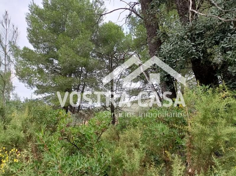 Foto 9ec0cf3e-0b7b-4453-a7f7-78e97d23a09b. Finca rústica en llanorel en Macastre