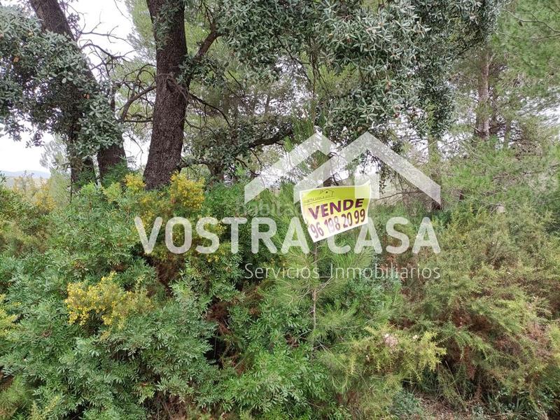 Foto aa96b1cb-5a53-4fd0-9ffe-945bceeae882. Finca rústica en llanorel en Macastre