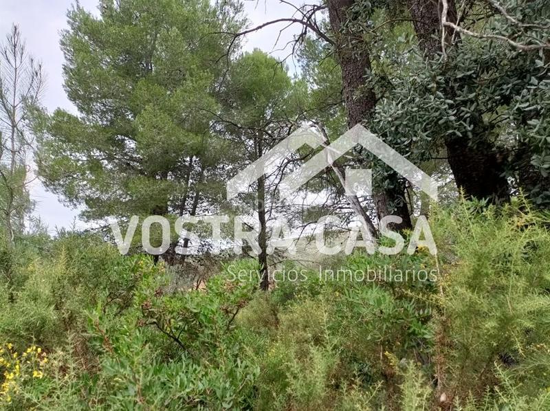 Foto dedd351b-c0cd-447c-ac9e-fc38b21cde8a. Finca rústica a llanorel parcela a Macastre