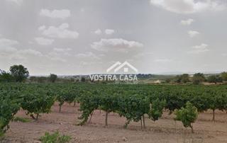 Fondo rustico in Veintisiete