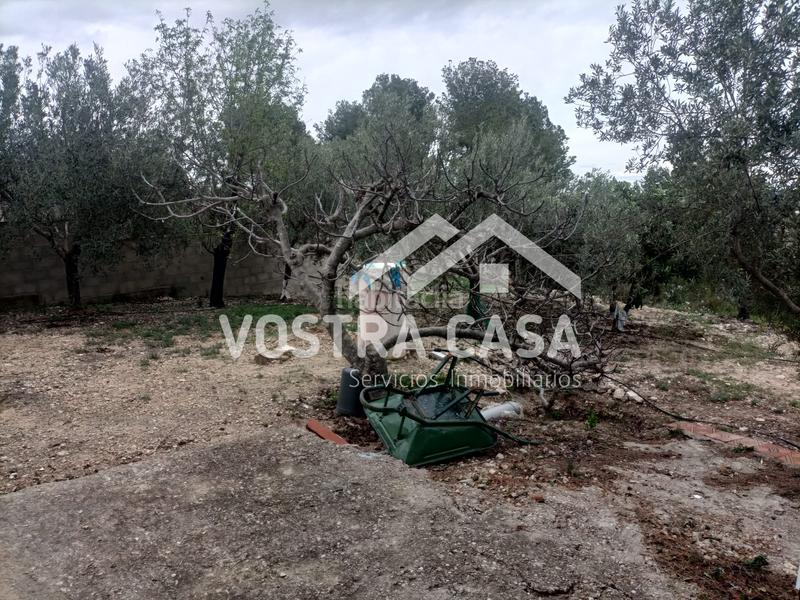 Foto 75774649-10d9-4fb5-bd6c-b8ba92475797. Chalet in la niña in Godelleta