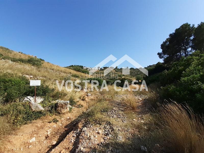 Foto 0be8bc3e-049d-4391-bae5-ed14a1e6677c. Fondo rustico in águila sierra perenchiza in Sierra Perenchiza-Cumbres de Calicanto-Sto Domingo Chiva