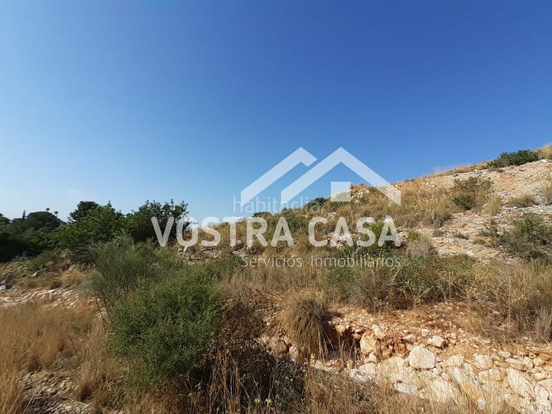 Foto 4a3836a6-c156-4901-8b0c-816a9e808cff. Propriété dans águila sierra perenchiza dans Sierra Perenchiza-Cumbres de Calicanto-Sto Domingo Chiva