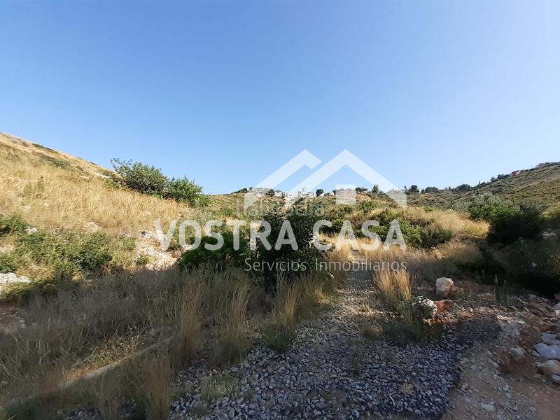 Foto 5572d3f3-2874-4b7b-b76b-4ca6fc7186d9. Propriété dans águila sierra perenchiza dans Sierra Perenchiza-Cumbres de Calicanto-Sto Domingo Chiva