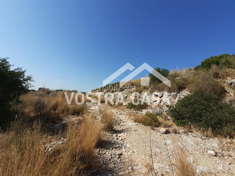 Foto dfb7b25f-9642-4a0c-8476-34eaf4043ea0. Propriété dans águila sierra perenchiza dans Sierra Perenchiza-Cumbres de Calicanto-Sto Domingo Chiva