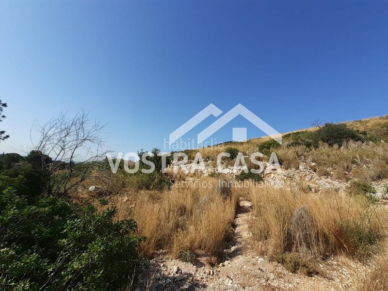 Foto 0959f75d-fac5-44d5-9742-e1137557cc17. Finca rústica a águila sierra perenchiza a Sierra Perenchiza-Cumbres de Calicanto-Sto Domingo Chiva