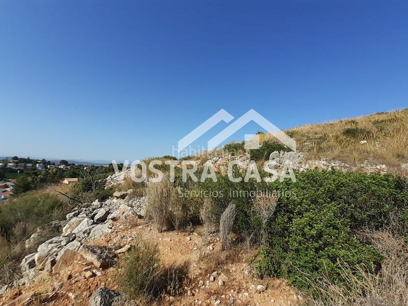 Foto 5003cba9-c6e1-44df-8b86-1f692a86bf89. Finca rústica a águila sierra perenchiza a Sierra Perenchiza-Cumbres de Calicanto-Sto Domingo Chiva