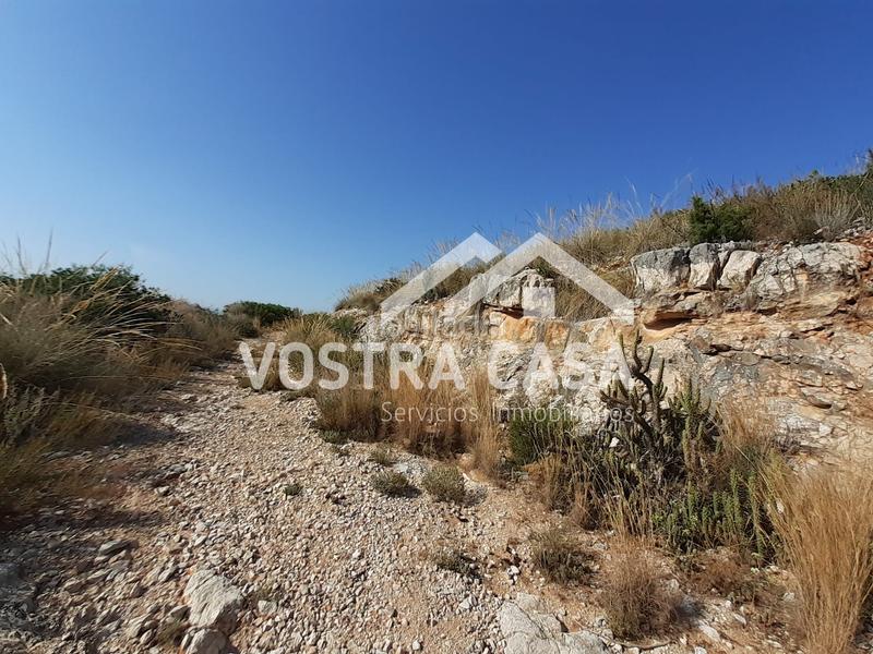 Foto ad48c9d7-8d1d-4f1f-9b9d-480c7d71d92f. Finca rústica a águila sierra perenchiza a Sierra Perenchiza-Cumbres de Calicanto-Sto Domingo Chiva