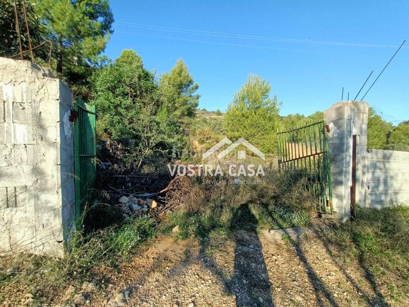 Foto 2a52d5bd-96c3-4a1f-b1d6-0e734f899b38. Propriété dans monte bajo dans Centro Chiva