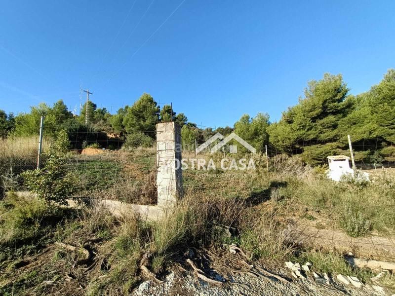 Foto 4d7ae4da-e857-4567-87e5-0f2389ebc3c9. Propriété dans monte bajo dans Centro Chiva