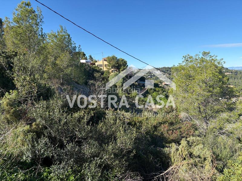 Foto 3bf69b10-574f-4403-92b2-fb32e8b29a40. Finca rústica a barcelona a Sierra Perenchiza-Cumbres de Calicanto-Sto Domingo Chiva