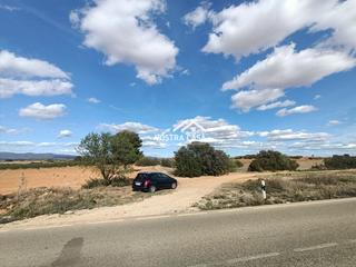 Landgut in Pozo arangu