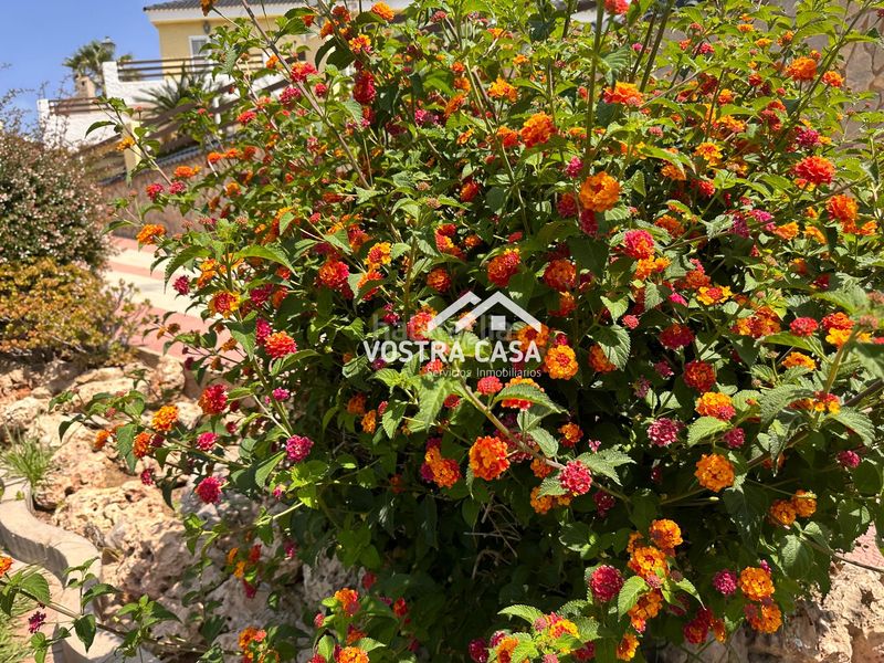 Foto 146efc30-6876-4362-9770-725f77e349fe. Chalet en once en Turís