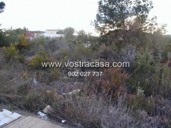 Foto 31d2f288-eb11-4901-aa58-adba03de107b. Finca rústica a veintiuno a Turís