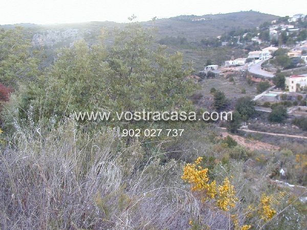 Foto 6d18c9be-86dc-4b0d-9325-a2bf1f0038c9. Finca rústica a veintiuno a Turís