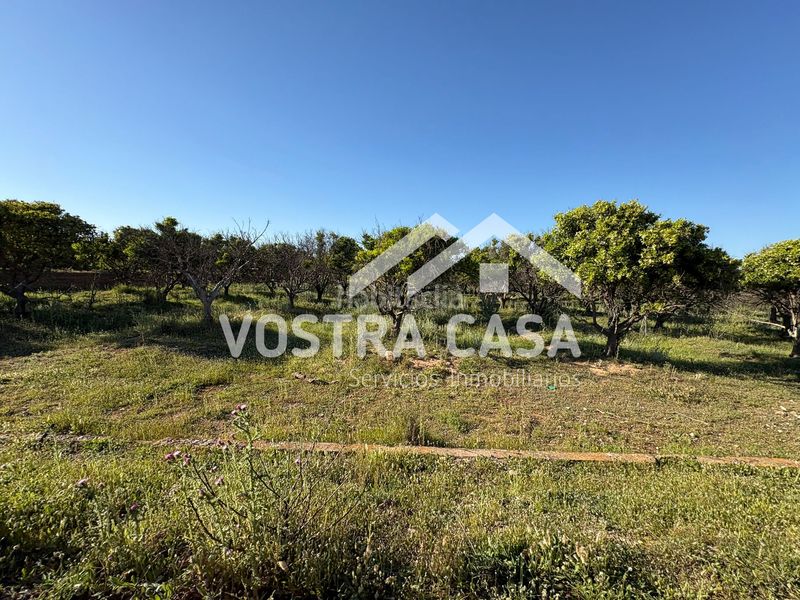 Foto af56db74-a85b-409d-8dd8-e715da044b7a. Finca rústica a veinte a La Loma Chiva