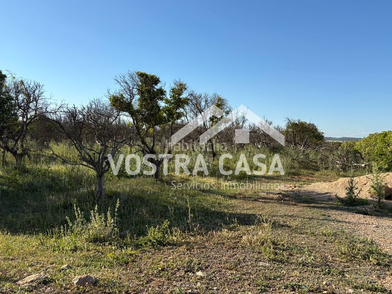 Foto c09d0f44-d2d9-4741-8bd8-b43542f182a0. Finca rústica a veinte a La Loma Chiva
