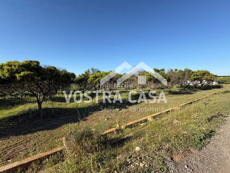 Foto 44b229ca-8f88-4ac5-9b42-5b4081c72a46. Finca rústica en veinte en La Loma Chiva
