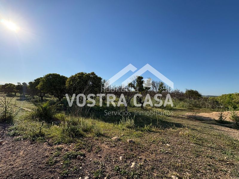 Foto bf5a71be-61f7-4531-b22d-02f5efe6324f. Finca rústica en veinte en La Loma Chiva