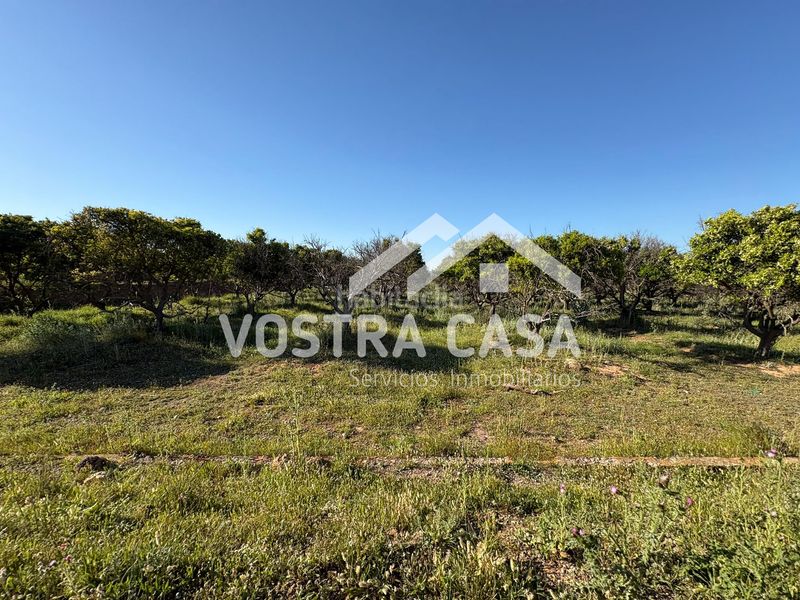 Foto c4e51730-73a4-4340-ab88-b75890b44f00. Finca rústica en veinte en La Loma Chiva