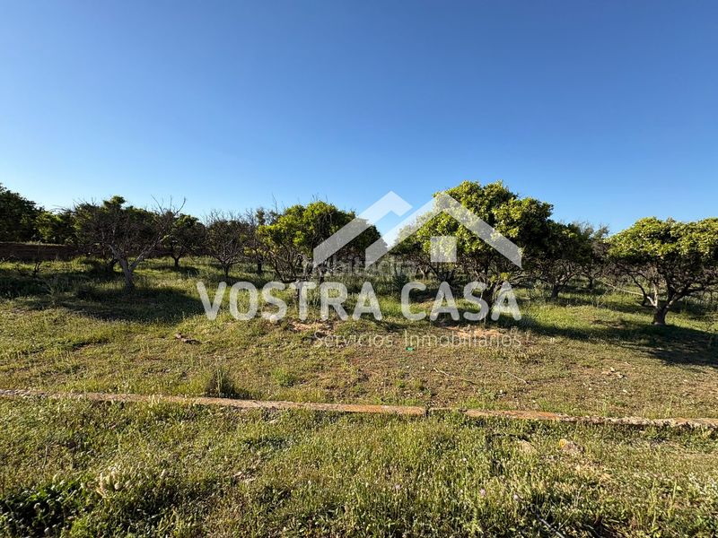 Foto d126354a-c551-467b-8117-e3bd3773a2df. Finca rústica en veinte en La Loma Chiva
