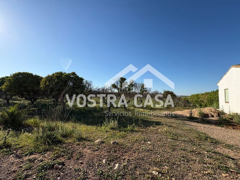 Foto fdd220b2-d99e-4657-a290-37b0beecf158. Finca rústica en veinte en La Loma Chiva