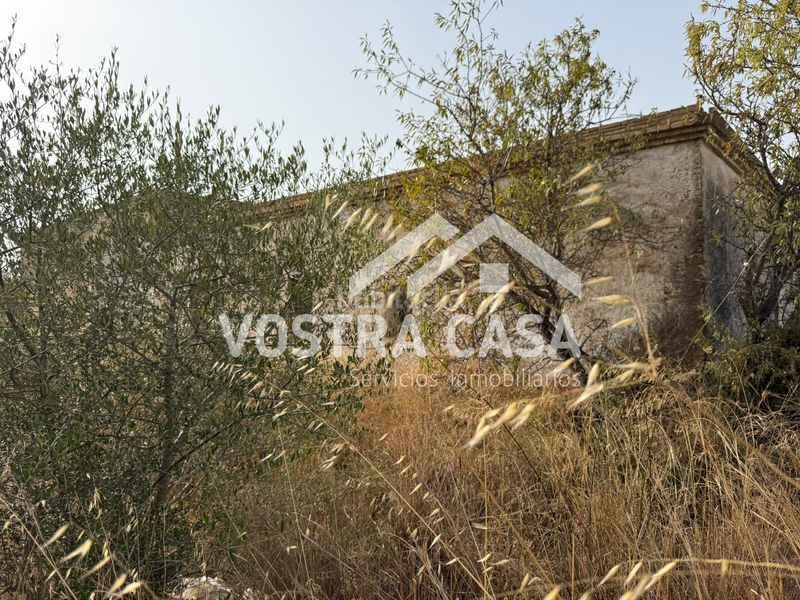 Foto f7c9b4d0-ef1a-41a7-a8fb-42213f690b90. Finca rústica a 45 a El Vedat - Santa Apolonia Torrent