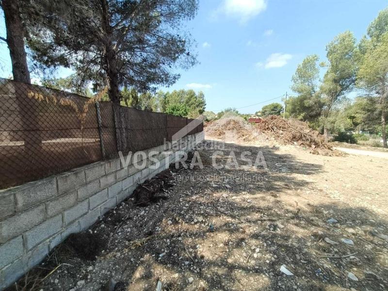 Foto 4552e822-c23f-4e7c-b81d-238a52c2c29a. Finca rústica en guipuzcoa en Godelleta