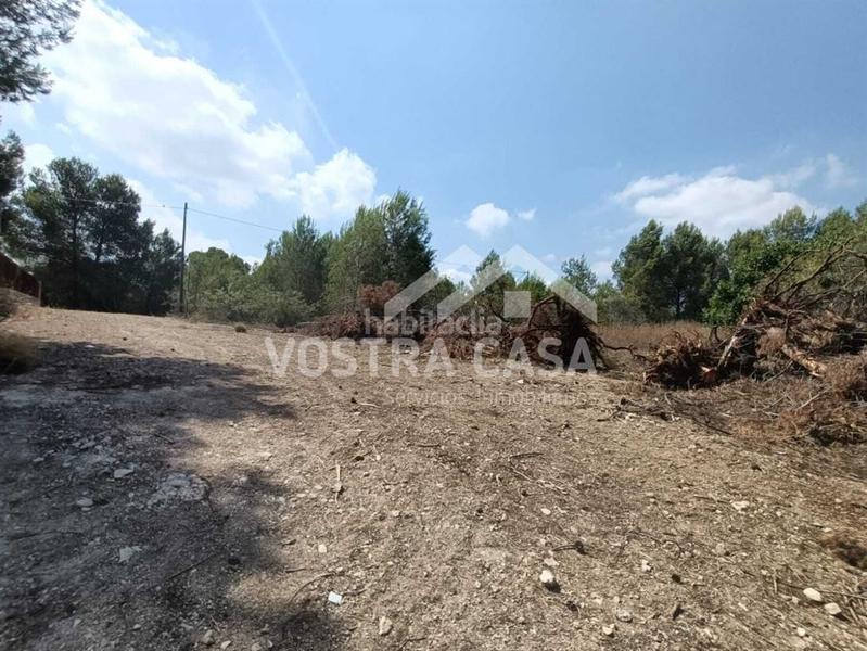 Foto c2df7c9b-3e05-413d-913c-071c8911a90f. Finca rústica en guipuzcoa en Godelleta