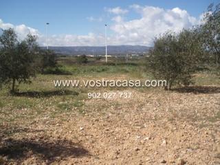 Finca rústica a Partida pinos veros, rotonda motos