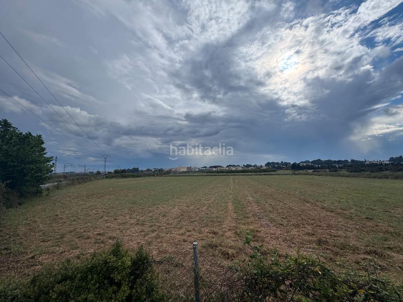 Foto 78b69b3f-65d7-4679-9616-1e35301750d3. Finca rústica en Massarojos Valencia
