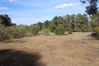 Rural plot  A-6
