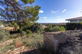 Rural plot in Son Amonda - Reis Catòlics. Parcela para construir un chalet unifamiliar en venta en inca, e