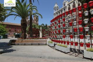 Alquiler Estudio en San Lorenzo. Disponible en enero!! estudio en el corazon de murcia