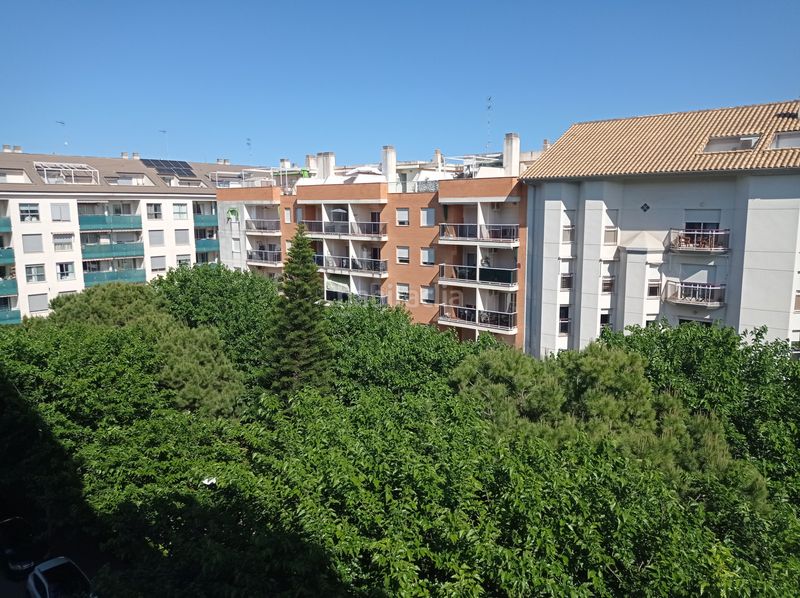 Foto bd511b24-4572-4541-90cc-fa71527dba1d. Pis a Grau de Gandía-Marenys de Rafalcaid Gandia