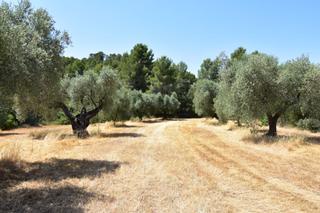 Casale in Lledó