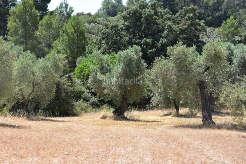 Foto 593639dd-7ea0-4fa8-afad-83c157dc5b74. Masia a Lledó