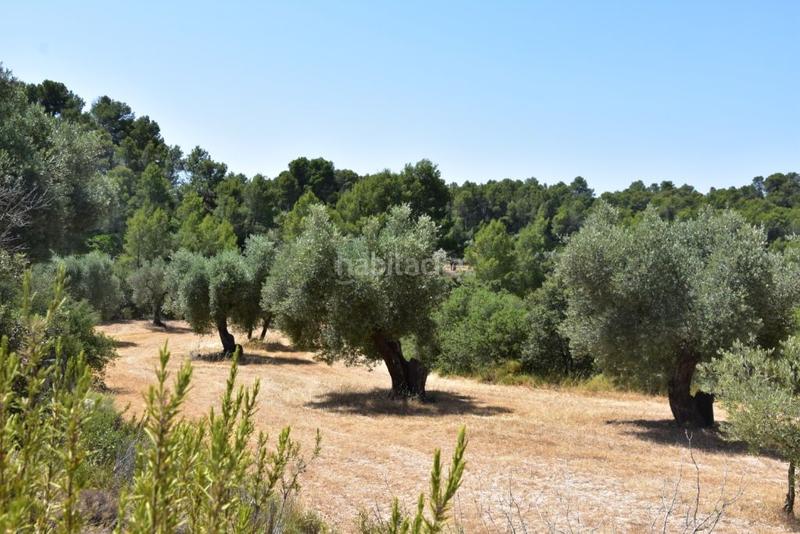 Foto 5af26582-8a26-4835-93c6-0dbaa5c69b48. Masia a Lledó
