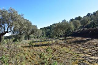 Mas à Arens de Lledó