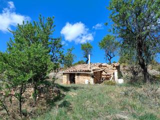 Rural plot in Avenida virgen de gracia 50