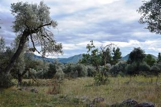 Propriété à Valderrobres