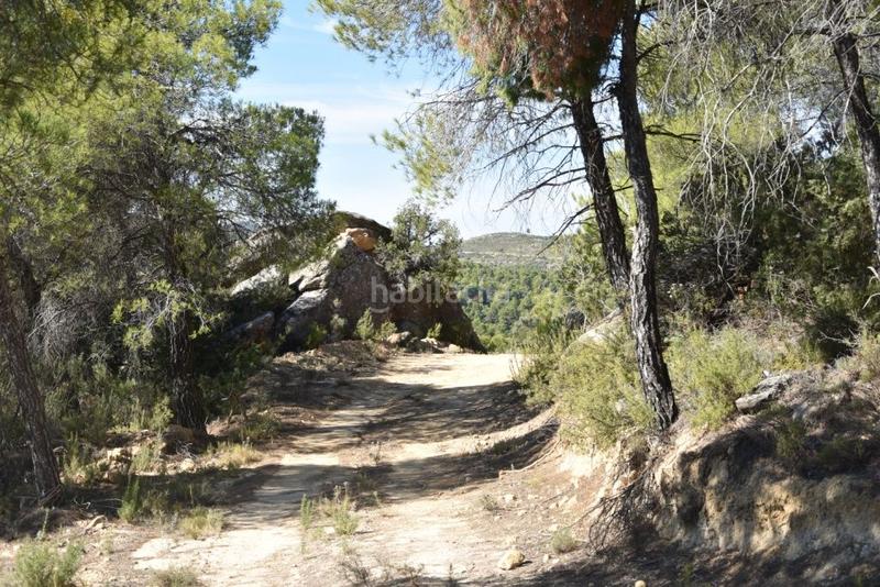 Foto e8d26166-e799-44a3-8d17-1b2bf661fdef. Finca rústica a Valderrobres