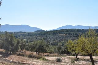 Finca rústica a Valderrobres