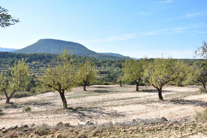 Foto 61d753c8-b12f-4c0c-af88-6964be58b2e4. Finca rústica en Valderrobres