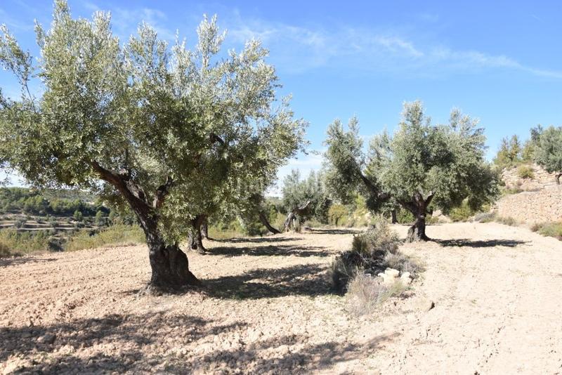 Foto baf6418c-aa64-4051-bf32-f4413479cd9d. Finca rústica en Valderrobres