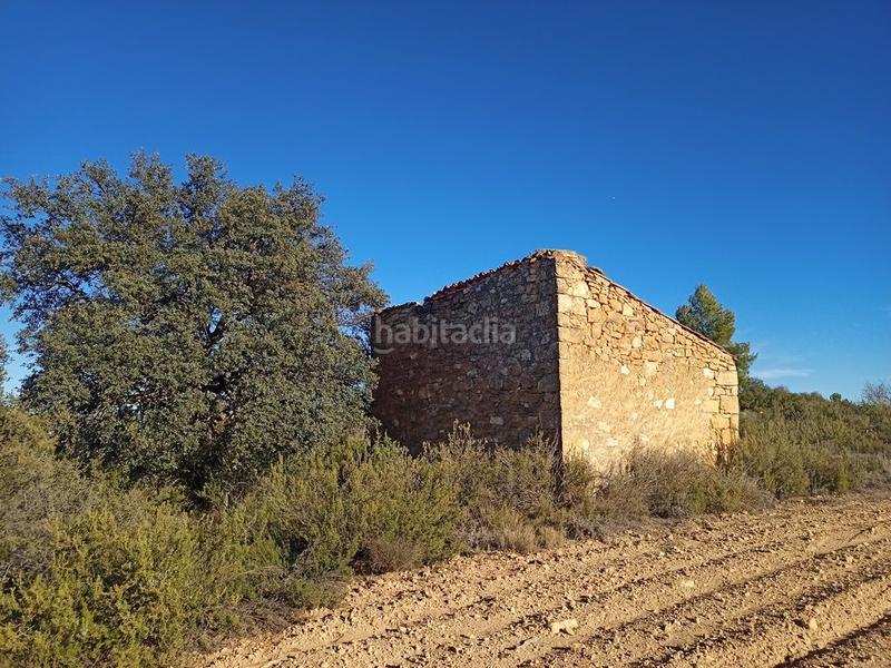 Foto 17f87694-6d17-41c5-939c-951f83fa0a2e. Finca rústica en Calaceite