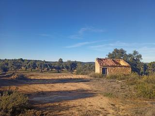 Finca rústica a Calaceite