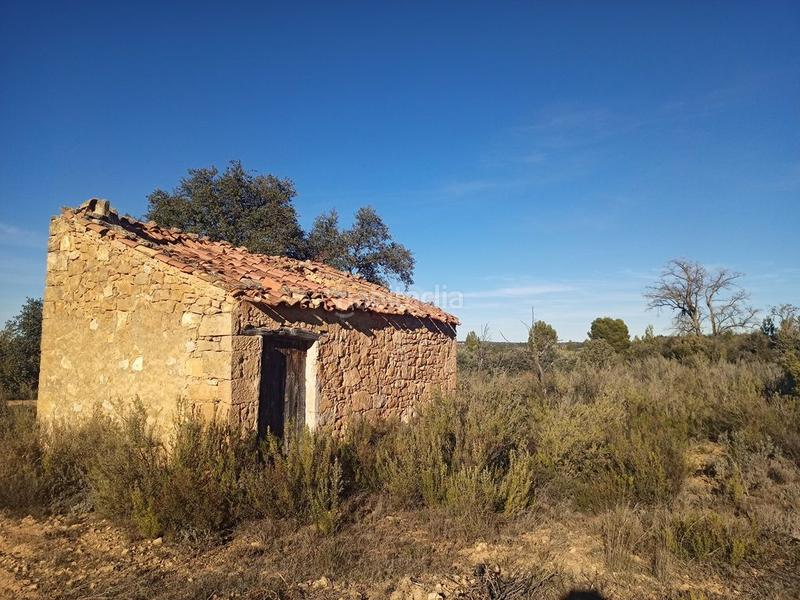 Foto 874014a5-09eb-475e-a0c8-3b6d9ed59563. Finca rústica en Calaceite