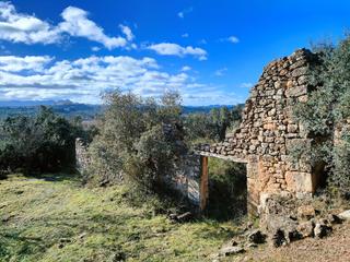 Masia a N/a
